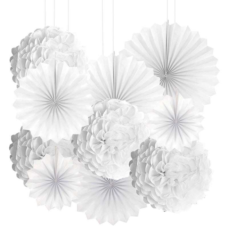 AWESON PARTY White Frozen Party Hanging Decorations - Wonderland 1st Birthday Baby Shower Nursery Wedding Bridal Shower Party Tissue Paper Pom-poms Fans Flowers Photo Booth Backdrops Decorations, 10pc - Image 1